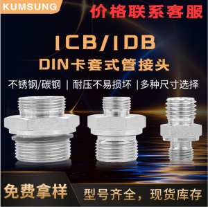 1CB 1DB DIN卡套式管接头